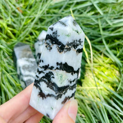 Zebra Jasper Tower