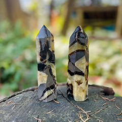 Septarian Tower